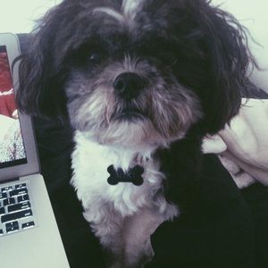 Meet your Posher, Emily